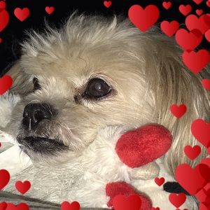 Meet your Posher, Leland